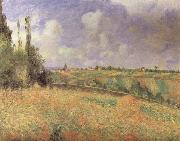 Camille Pissarro Rye Fields at Pontoise Sweden oil painting artist